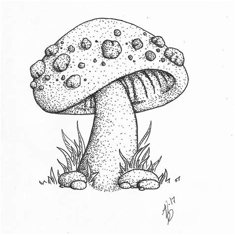 Pencil Drawings Of Mushrooms Warehouse Of Ideas