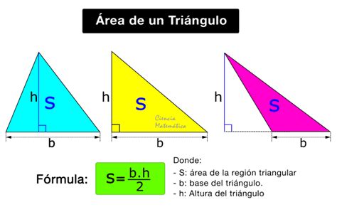 🥇 Área De Un Triángulo【fórmulas Y Ejercicios Resueltos】