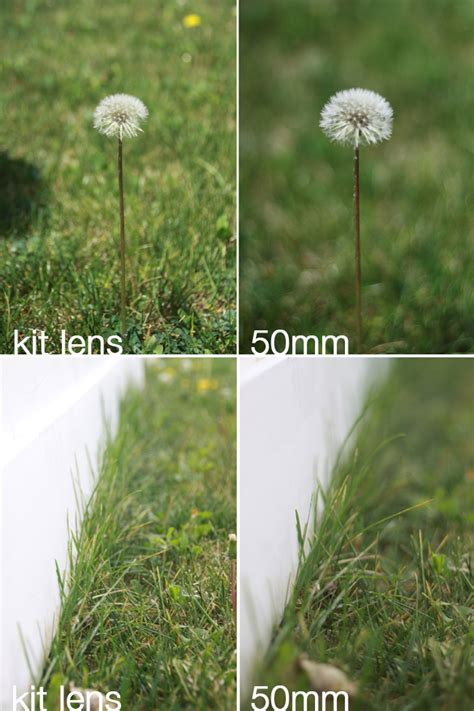 We did not find results for: get better photos on auto with a 50mm lens | photography review