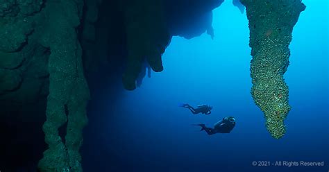 Divers Explore The Unknown Parts Of Belizes Great Blue Hole Madly Odd