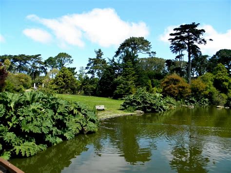 The san francisco botanical garden covers 55 acres, which is larger than 40 football fields. Sundays in my City - San Francisco