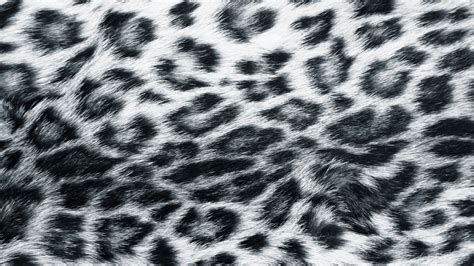 Leopard Print Wallpapers Hd Pixelstalknet