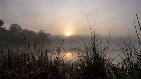 Morning Mist On The Lake 4k Youtube