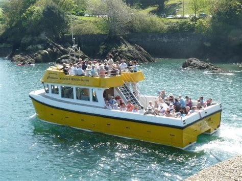 Ilfracombe Princess All You Need To Know Before You Go