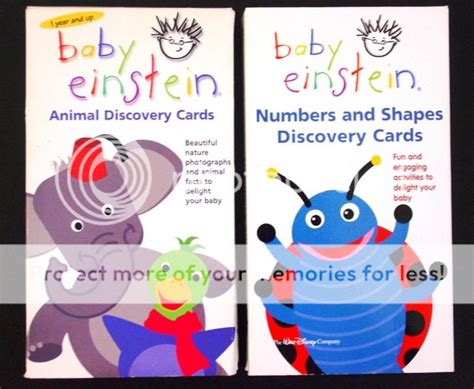 Baby Einstein Lot 2 Discovery Cards Animal Discovery And Numbers And