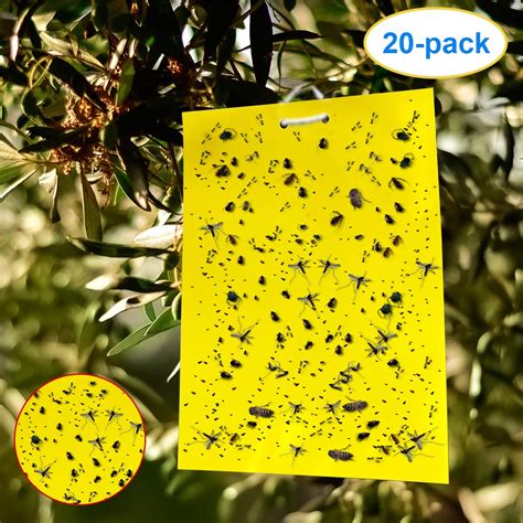 Buy ALLRoad 20 Pack Dual Sided Yellow Sticky For Insect Fungus Gnat