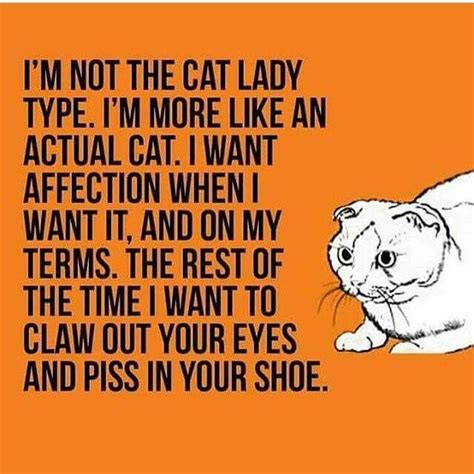 Crazy Cat Lady Funny Lol Omg Cat Lady Quote Mottos To Live By