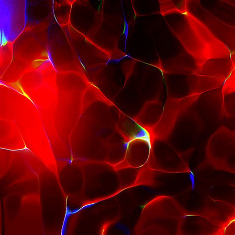 An Abstract Photograph Of Red And Blue Lights