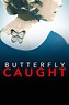 Butterfly Caught (película 2017) - Tráiler. resumen, reparto y dónde ...