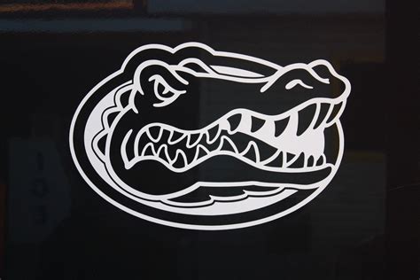 Gators Desktop Wallpapers Wallpaper Cave