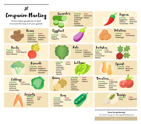 If you're planning a garden this year, it's important that you do your research on which plants will play nicely together. Your Guide to Companion Planting - gardenstead