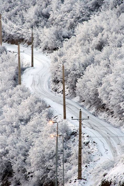 Snowy Road In Wintry Forest Stock Image Image Of Remote Countryside