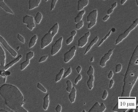 The Microstructure Of Duplex Stainless Steel Sintered For Hours Lom