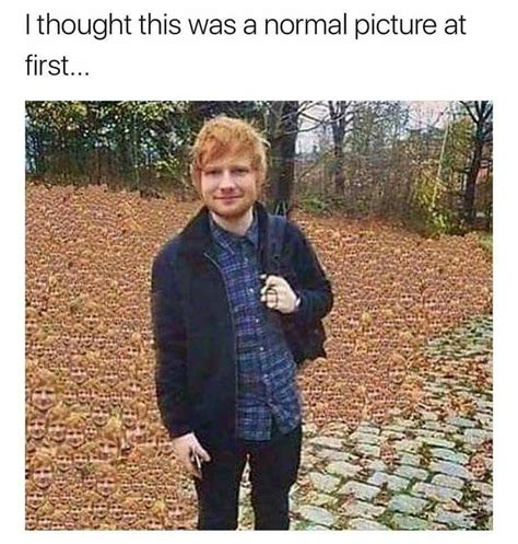 17 Ridiculous Ed Sheeran Memes To Get You Laughing Out Loud Memebase Funny Memes Crazy Funny