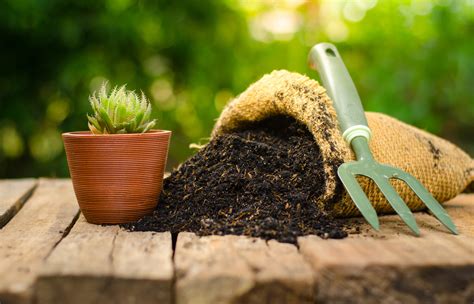 Properties of Soil and Potting Mixtures | Physical ...