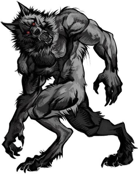 Nobody Werewolf Art Werewolf Vampires And Werewolves
