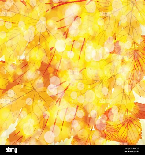 Autumn Leaves Background Stock Vector Image And Art Alamy