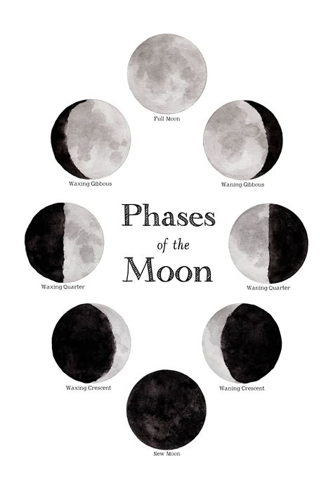 School Room Chart Phases Of The Moon 12 X 18 Poster Lunar Montessori