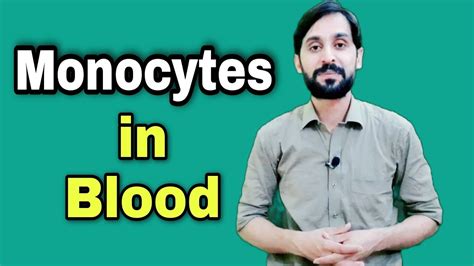 Monocytes Functions What If Monocytes Are Low And High Youtube