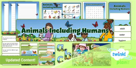 Science Animals Including Humans Additional Resources Year 2