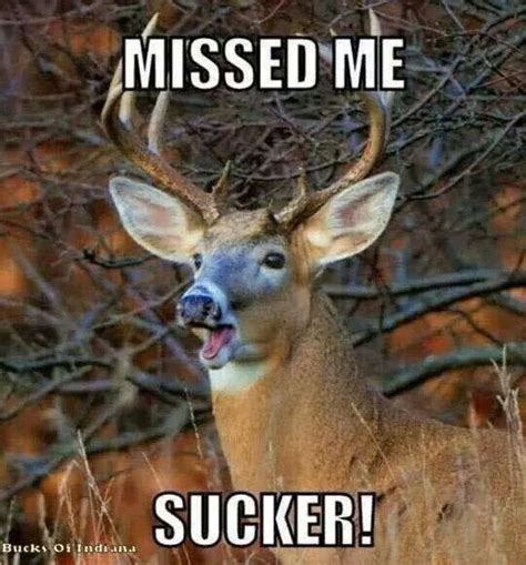 Pin By Brenda Guffey On Quotes Etc Deer Hunting Humor Deer Meme