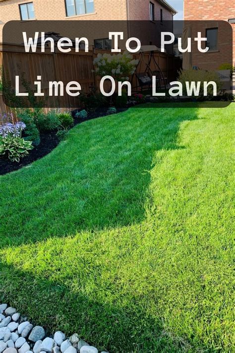 Lime For Lawns When And How To Lime Your Lawn Artofit