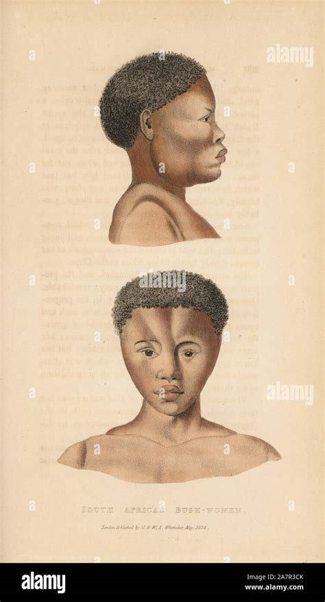 San Women Of South Africa Bush Women Handcoloured Copperplate Engraving From Edward Griffith