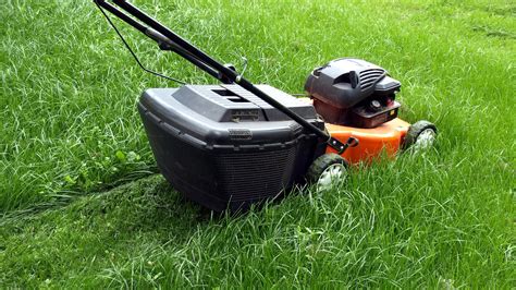 Why Should My Lawn Be Mowed Every Week In Michigan Big Lakes Lawncare