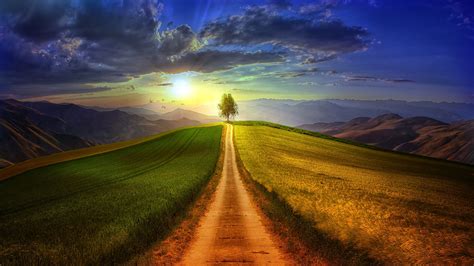 Download 1920x1080 Lonely Tree Path Clouds Sky Wallpapers For