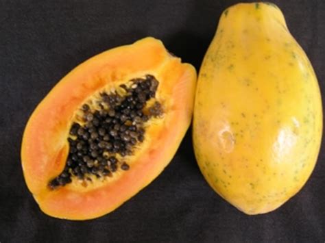 11 Different Types Of Papaya With Images