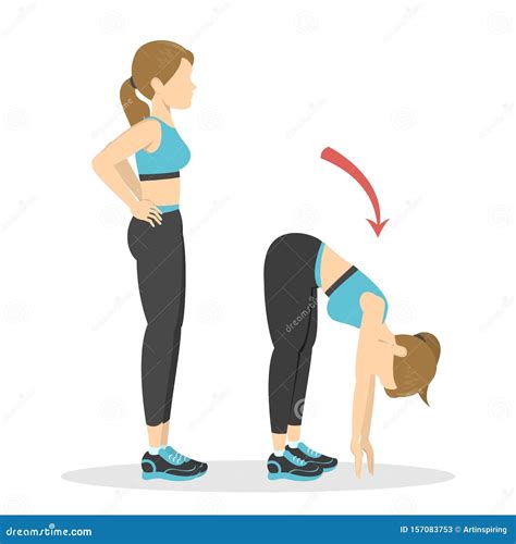 Bend Forward Exercise Woman Doing Fitness In The Gym Stock Vector
