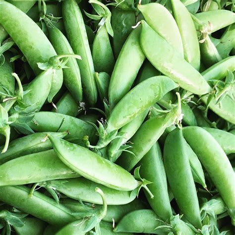 How To Store And Cook Snap Peas