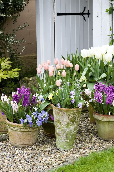 Several Potted Flowers In Front Of A White Door