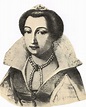 Maria Elisabeth de Nassau (1577-1641) | Portraits, Aristocrate ...