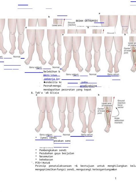 Docx Edukasi Besar Penyakit Bedah Orthopedi Dokumen Tips