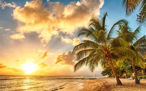 Hd Wallpaper Sand Beach Sunset Palm Trees The Ocean France The