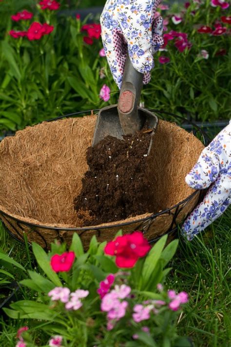 Adding soil can be a substantial investment in time and money. Reusing Potting Soil | ThriftyFun