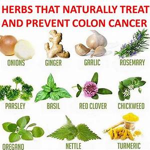 Herbs for cancer prevent. – Healthaware  Brain Tumor Herbal Medicine