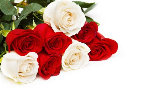Download Wallpapers Bouquet Of Red And White Roses Red Roses White
