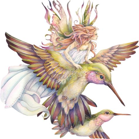 Fairies S And Pictures Hummingbird With Fairy Image By