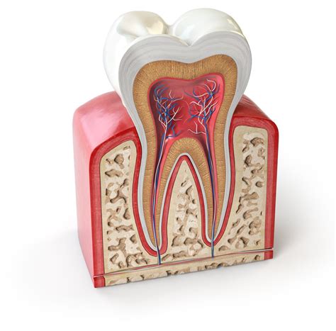 Odontología Conservadora Clínicas Dentales Pifarré