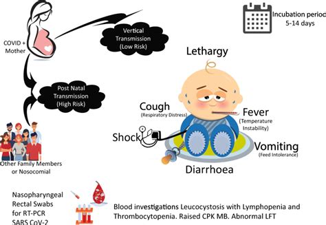Common Neonatal Symptoms Of Covid 19 Download Scientific Diagram