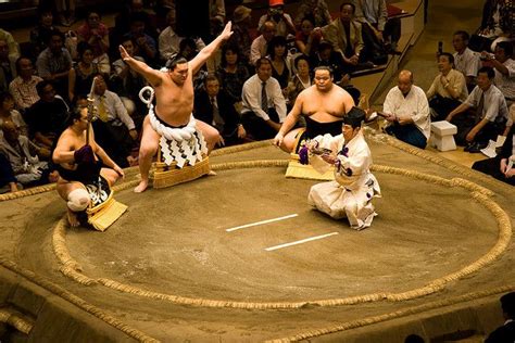 Img3638 Martial Arts Japan Sumo Wrestler