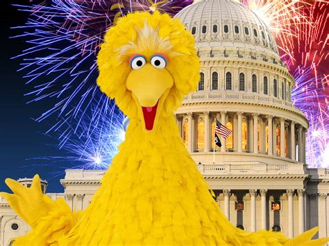 Top 999 Big Bird Wallpaper Full Hd 4k Free To Use