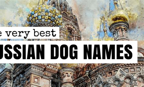 90 Russian Dog Names Slavic Names For Your Four Footer