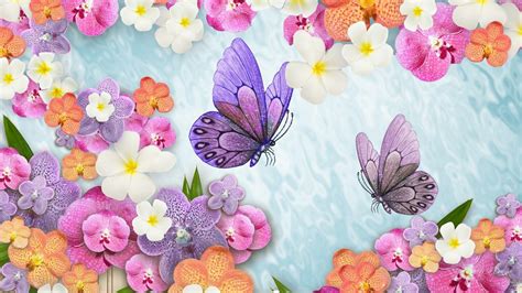 Download Orchid Colorful Butterfly Flower Artistic Spring Hd Wallpaper
