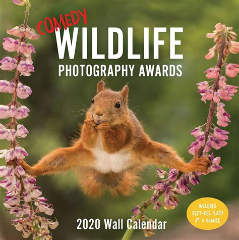Buy Comedy Wildlife 2020 Wall Calendar Funny 2020 Wall Calendar