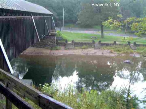 Gay Swimming Holes New York