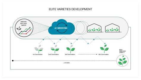 Nrgene Growing The Future Together Partner Nrgene Growing The