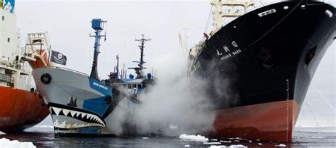 Japanese Whaling Ship Rams Sea Shepherd Fleet In Antarctic Incident